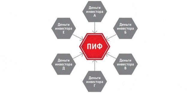 Что такое паевые инвестиционные фонды, лучшие ПИФы, как заработать