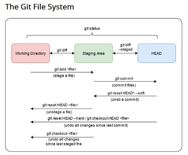 Git for beginners, how to install, use, trading robots