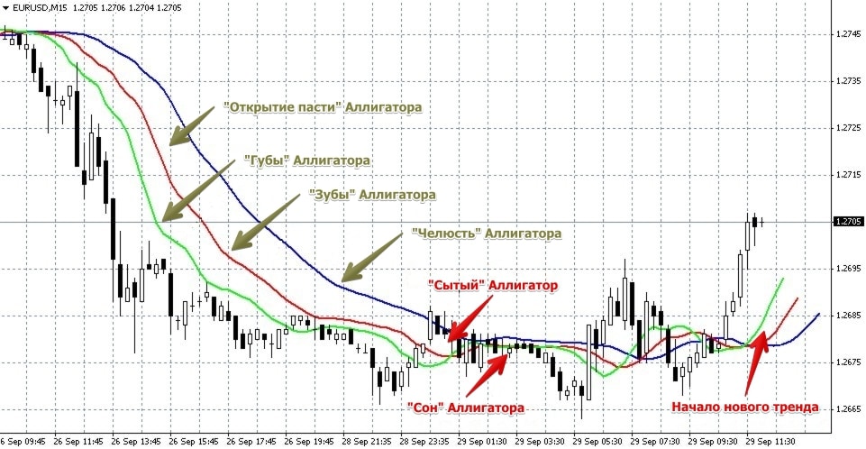 How to trade with the Alligator indicator by Bill Williams