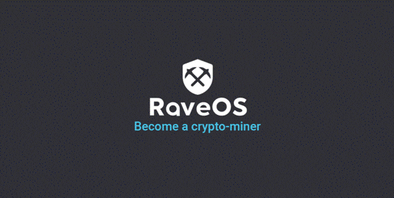 What is RaveOS: installation, launch, configuration, application and update